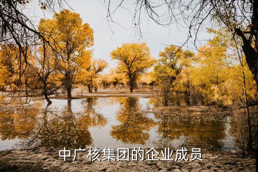  中廣核集團的企業(yè)成員