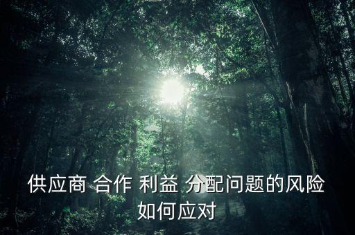 供應(yīng)商 合作 利益 分配問題的風(fēng)險(xiǎn)如何應(yīng)對