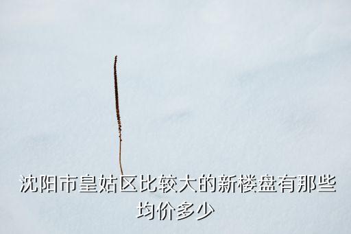  沈陽(yáng)市皇姑區(qū)比較大的新樓盤(pán)有那些均價(jià)多少