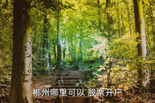 郴州哪里可以 股票開(kāi)戶