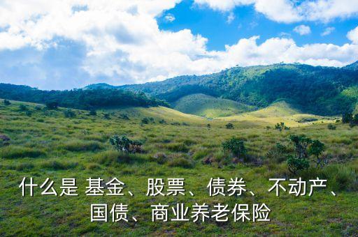 什么是 基金、股票、債券、不動(dòng)產(chǎn)、 國(guó)債、商業(yè)養(yǎng)老保險(xiǎn)