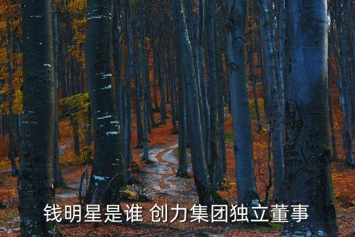 錢明星是誰 創(chuàng)力集團(tuán)獨立董事