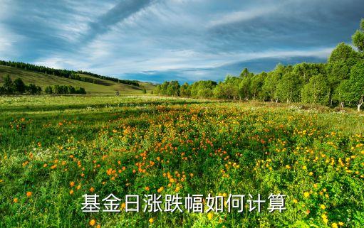  基金日漲跌幅如何計算