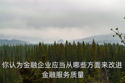 你認(rèn)為金融企業(yè)應(yīng)當(dāng)從哪些方面來改進(jìn) 金融服務(wù)質(zhì)量