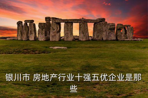 銀川市 房地產(chǎn)行業(yè)十強(qiáng)五優(yōu)企業(yè)是那些