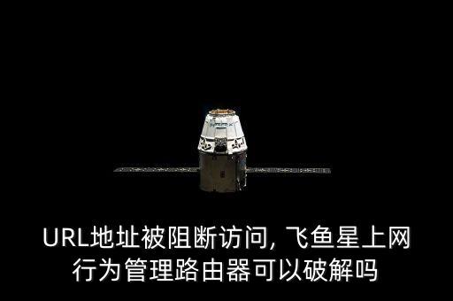 飛魚(yú)星股票