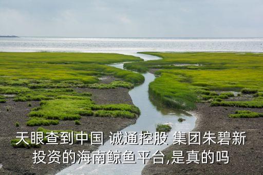 誠(chéng)通集團(tuán)改革概念股