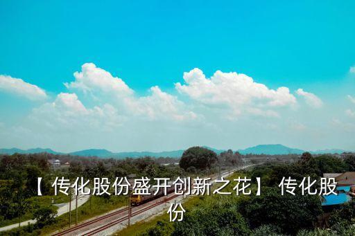 傳化集團(tuán)行業(yè)綜合實力