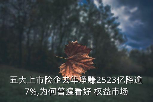 五大上市險(xiǎn)企去年凈賺2523億降逾7%,為何普遍看好 權(quán)益市場