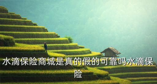 廣州眾興互聯(lián)有限公司,廣州中贏品牌管理有限公司