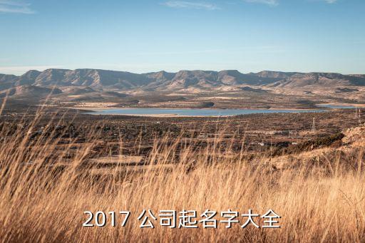 杭州興佳汽車擔保公司,杭州長合汽車擔保公司怎么樣