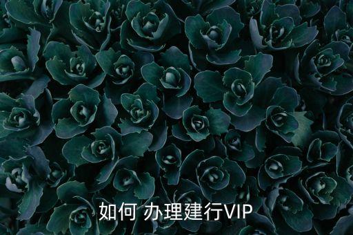 如何 辦理建行VIP