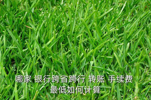 哪家 銀行跨省跨行 轉(zhuǎn)賬 手續(xù)費 最低如何計算