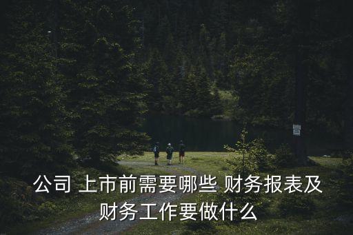 上市公司的財(cái)務(wù)披露