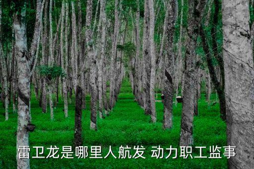 雷衛(wèi)龍是哪里人航發(fā) 動力職工監(jiān)事