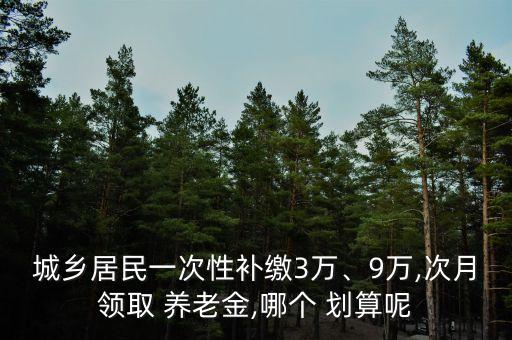 城鄉(xiāng)居民一次性補(bǔ)繳3萬(wàn)、9萬(wàn),次月領(lǐng)取 養(yǎng)老金,哪個(gè) 劃算呢