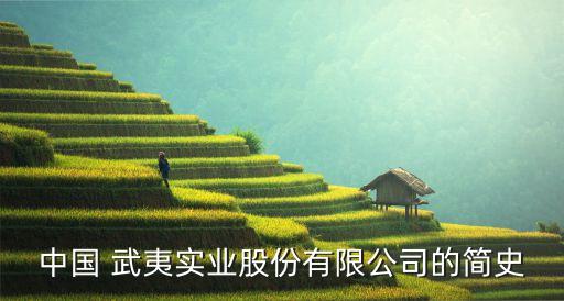 中國(guó) 武夷實(shí)業(yè)股份有限公司的簡(jiǎn)史