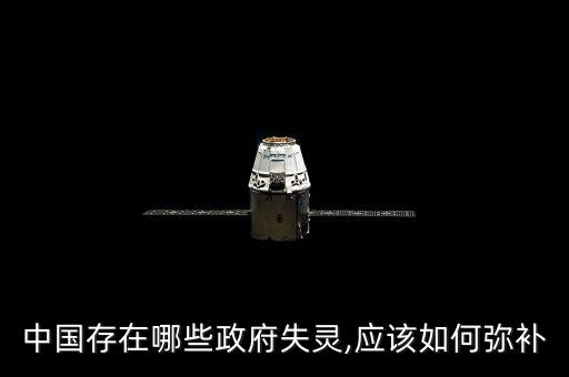 中國存在哪些政府失靈,應(yīng)該如何彌補(bǔ)