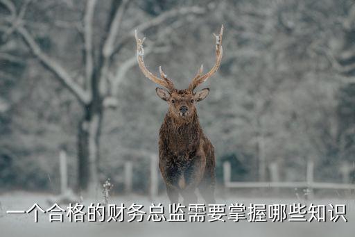 一個合格的財務總監(jiān)需要掌握哪些知識