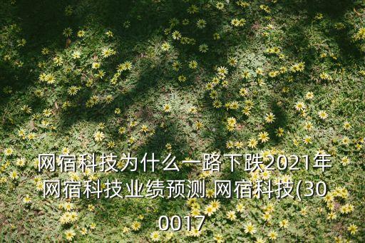 網(wǎng)宿 中國互聯(lián)網(wǎng)報告,中國互聯(lián)網(wǎng)信息報告最新