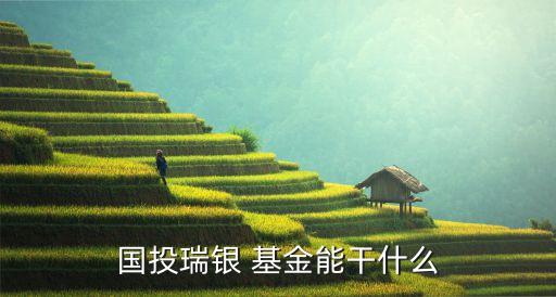 國(guó)投瑞銀 基金能干什么