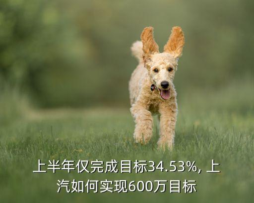上汽集團(tuán)董事長級(jí)別