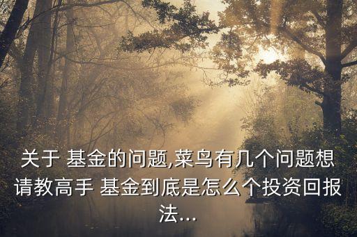 關(guān)于 基金的問(wèn)題,菜鳥有幾個(gè)問(wèn)題想請(qǐng)教高手 基金到底是怎么個(gè)投資回報(bào)法...