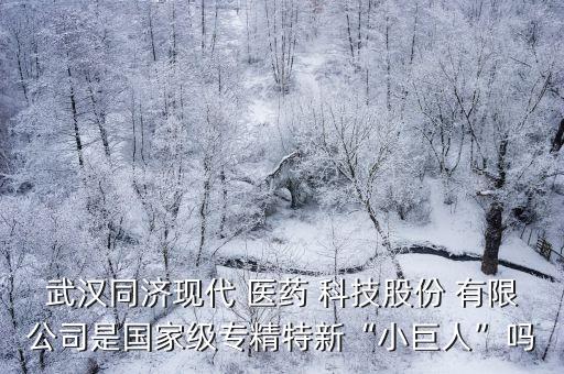武漢同濟(jì)現(xiàn)代 醫(yī)藥 科技股份 有限公司是國家級(jí)專精特新“小巨人”嗎