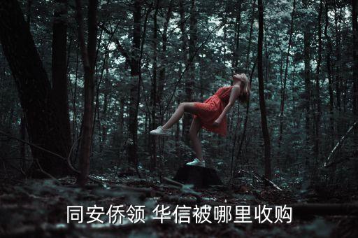 同安僑領(lǐng) 華信被哪里收購