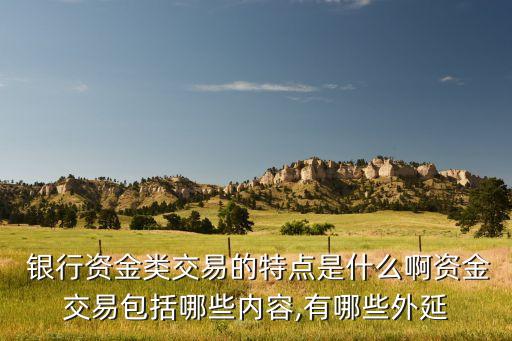  銀行資金類交易的特點(diǎn)是什么啊資金交易包括哪些內(nèi)容,有哪些外延