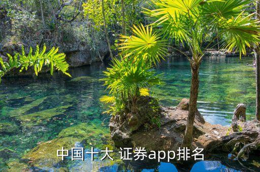 中國(guó)十大 證券app排名