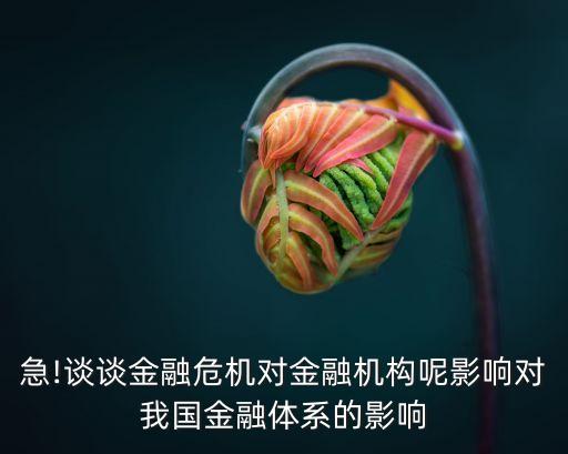 急!談談金融危機對金融機構(gòu)呢影響對我國金融體系的影響