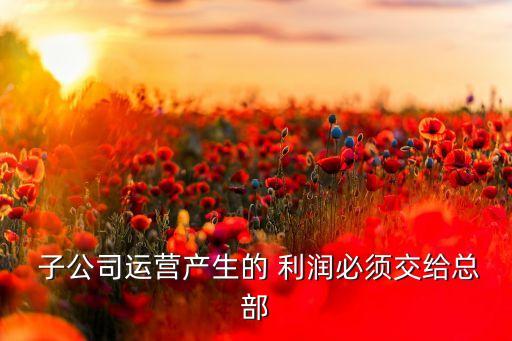 子公司利潤分配法規(guī)