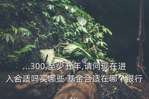 ...300,至少五年,請問現(xiàn)在進入合適嗎買哪些 基金合適在哪個銀行...