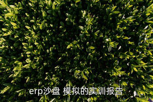 erp沙盤 模擬的實訓報告