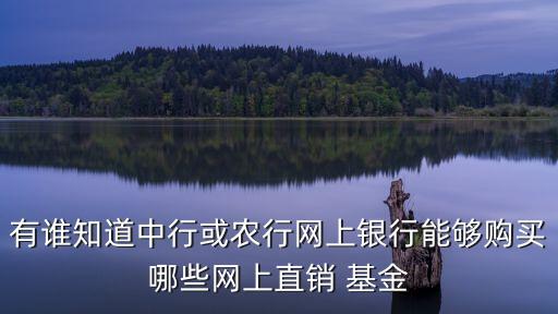 有誰(shuí)知道中行或農(nóng)行網(wǎng)上銀行能夠購(gòu)買哪些網(wǎng)上直銷 基金