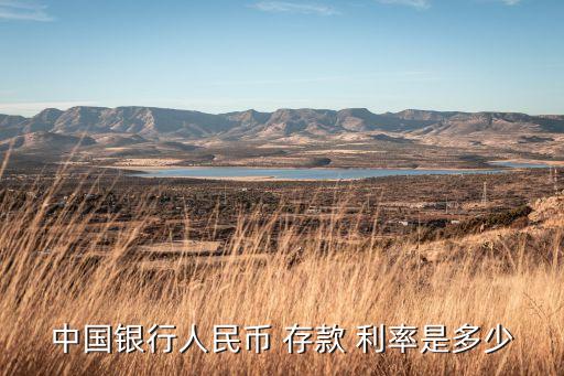 中國(guó)銀行人民幣 存款 利率是多少