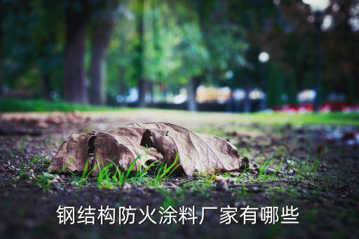 鋼結構防火涂料廠家有哪些