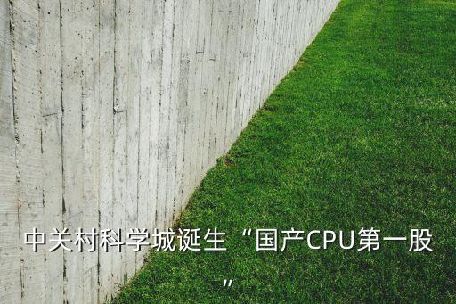 中關(guān)村科學(xué)城誕生“國產(chǎn)CPU第一股”