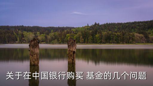 關(guān)于在中國銀行購買 基金的幾個(gè)問題