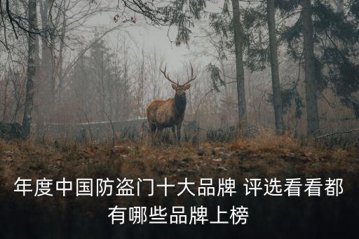年度中國(guó)防盜門(mén)十大品牌 評(píng)選看看都有哪些品牌上榜