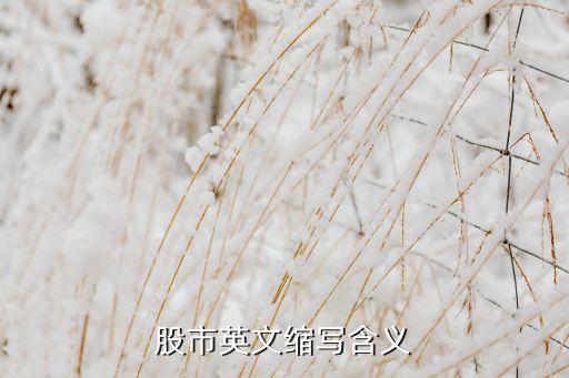 股市英文縮寫(xiě)含義