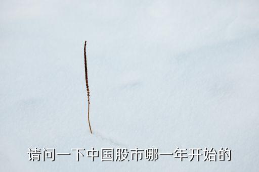1997年深發(fā)展股票漲幅,深發(fā)展股票歷史漲幅