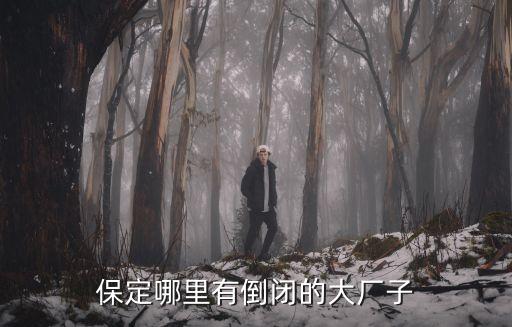 寶碩集團(tuán)破產(chǎn),寶碩型材集團(tuán)最新消息