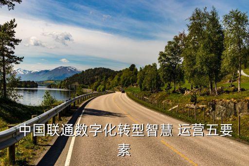  中國(guó)聯(lián)通數(shù)字化轉(zhuǎn)型智慧 運(yùn)營(yíng)五要素