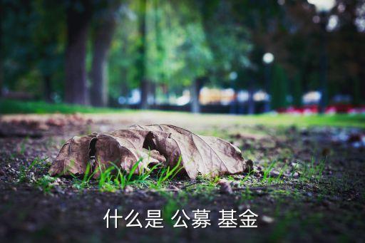 公募基金投資股權(quán),公募股權(quán)基金是什么意思