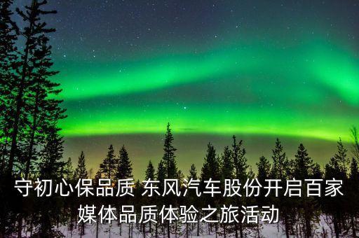 東風(fēng)輕型發(fā)動機有限公司法人,十堰東風(fēng)輕型發(fā)動機有限公司