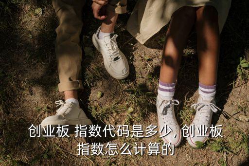  創(chuàng)業(yè)板 指數代碼是多少, 創(chuàng)業(yè)板 指數怎么計算的