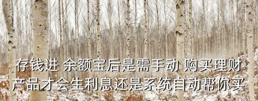 存錢進 余額寶后是需手動 購買理財產(chǎn)品才會生利息還是系統(tǒng)自動幫你買
