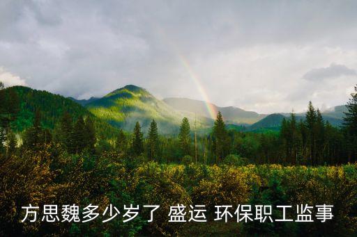 方思魏多少歲了 盛運 環(huán)保職工監(jiān)事